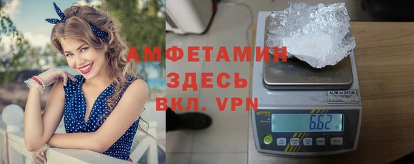 прущие грибы Гусев