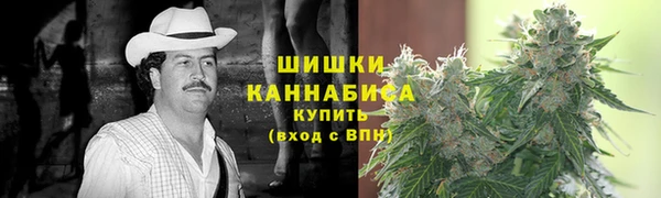 молекула духа Гусиноозёрск