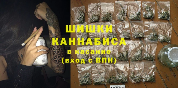 молекула духа Гусиноозёрск