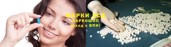прущие грибы Гусев