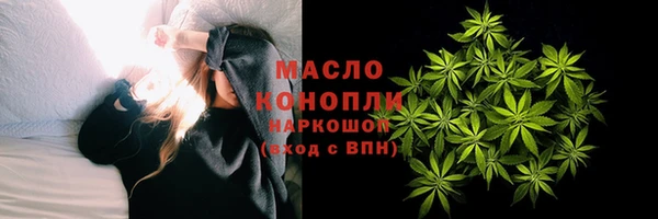 прущие грибы Гусев