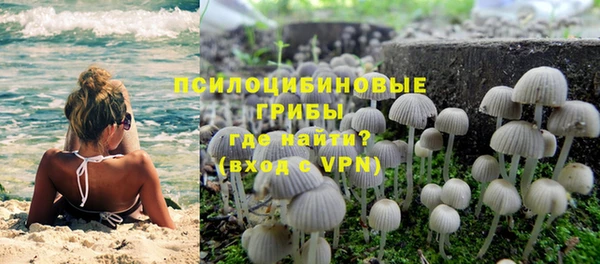 твердый Гусь-Хрустальный