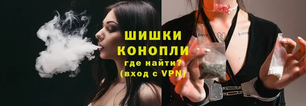 твердый Гусь-Хрустальный