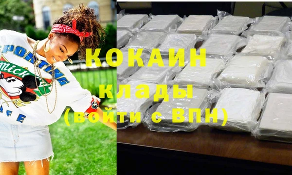 прущие грибы Гусев