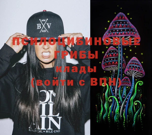 прущие грибы Гусев