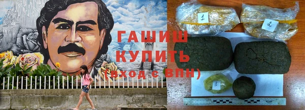 прущие грибы Гусев