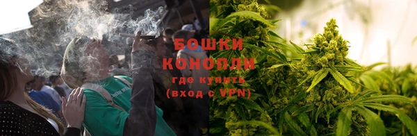 молекула духа Гусиноозёрск
