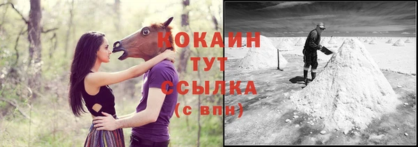 молекула духа Гусиноозёрск
