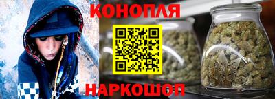 круглые Кингисепп