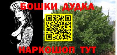 круглые Кингисепп