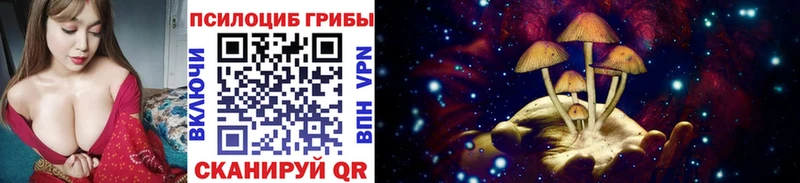 где найти наркотики  Острогожск  Псилоцибиновые грибы Cubensis 