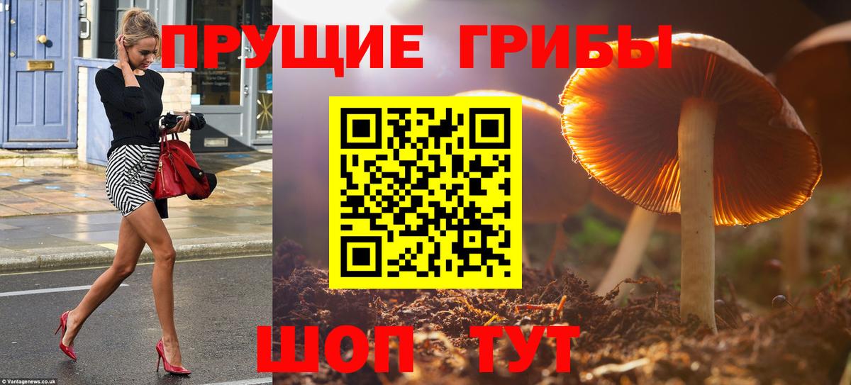 Острогожск  купить наркотики цена  Вход с VPN  Псилоцибиновые грибы Cubensis 