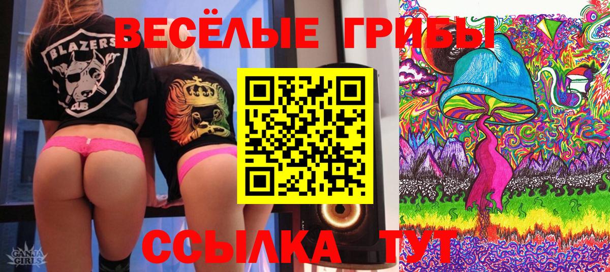 Псилоцибиновые грибы Cubensis Острогожск